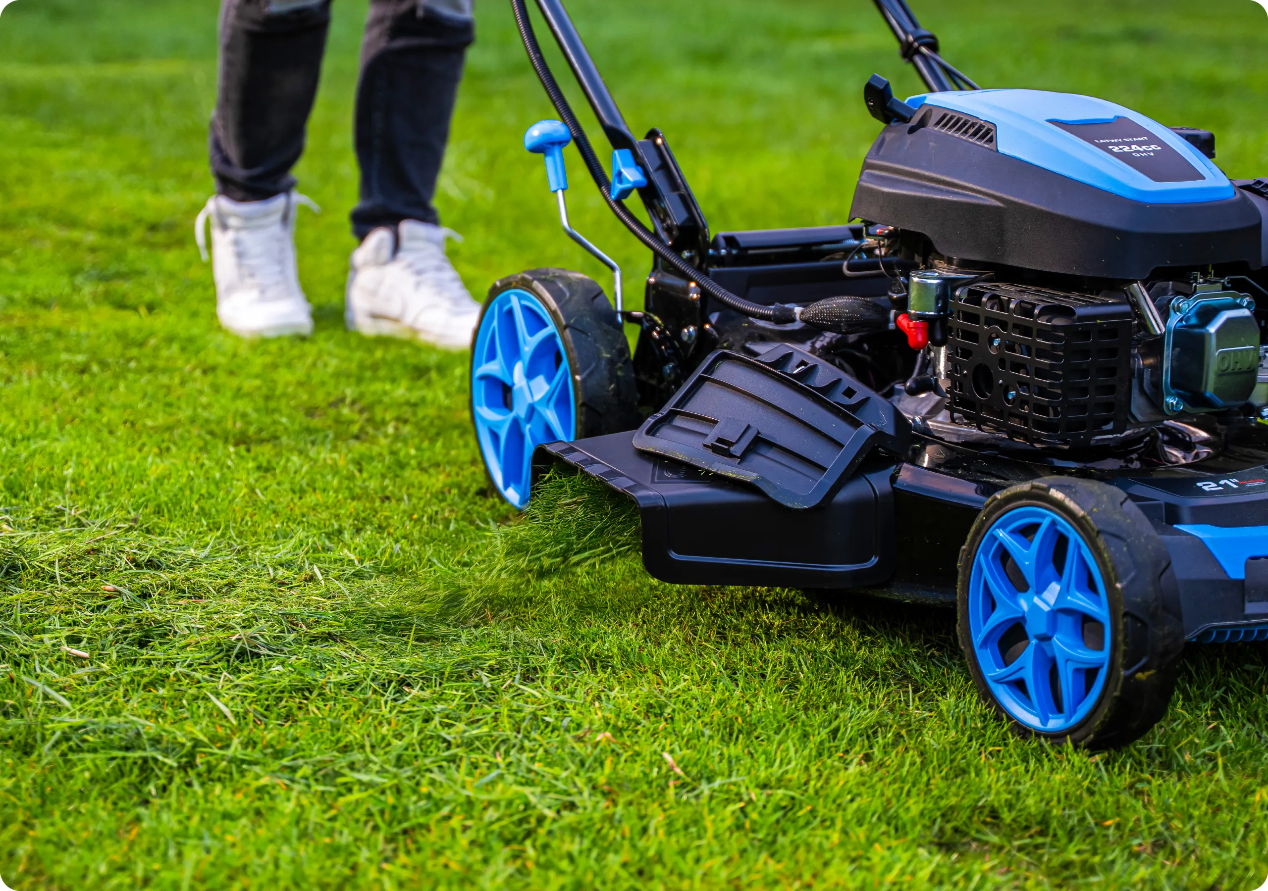 Βασικά χαρακτηριστικά