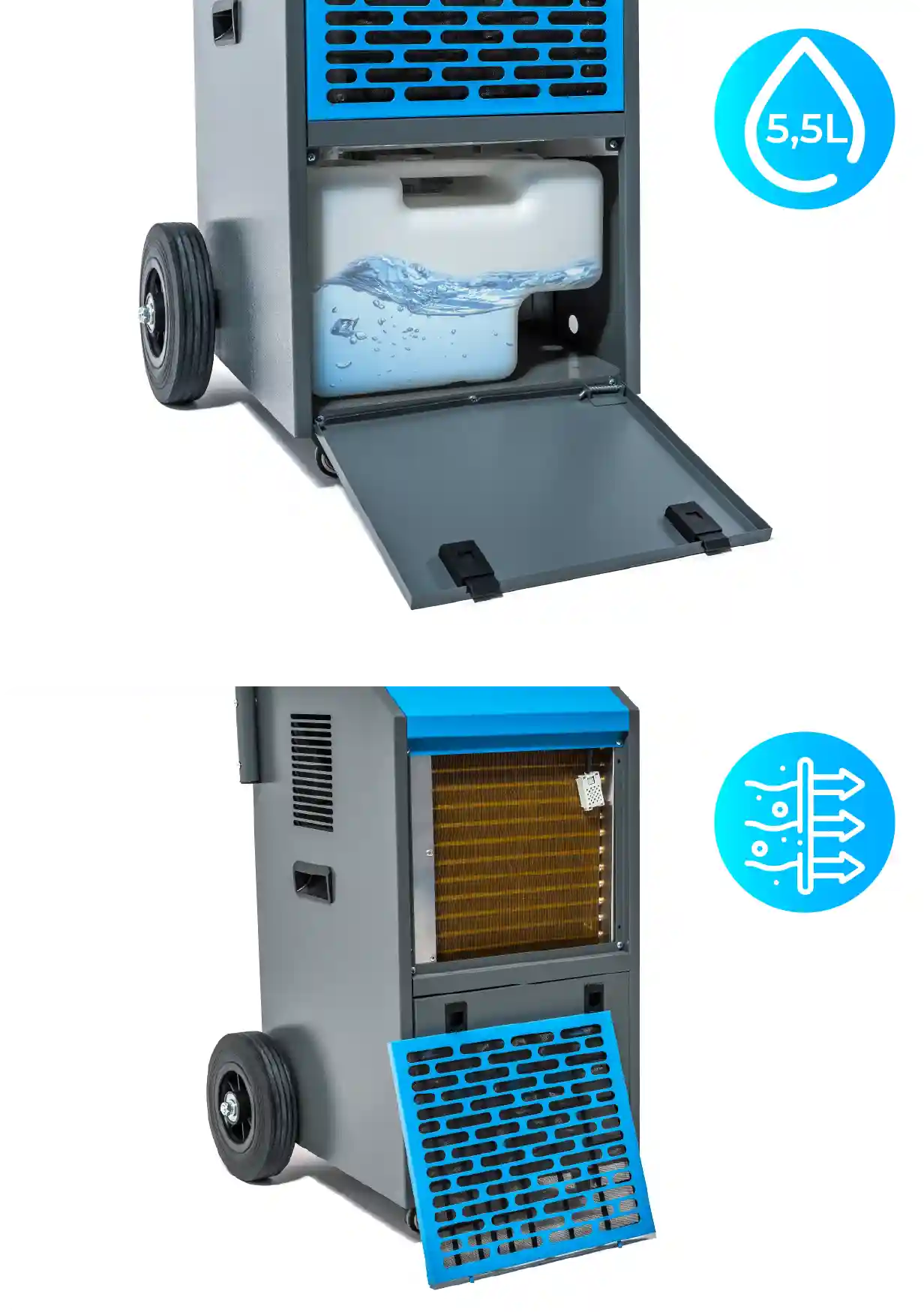 Βασικά χαρακτηριστικά