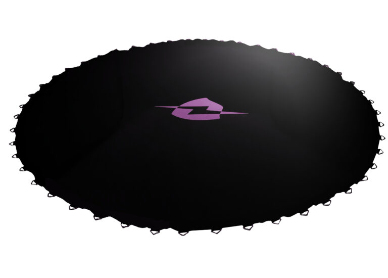 Σημαντικότερα χαρακτηριστικά